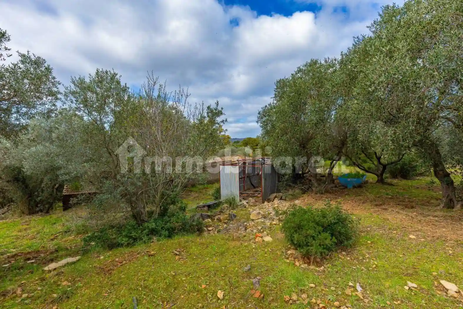 Rustico - Casale - foto 3