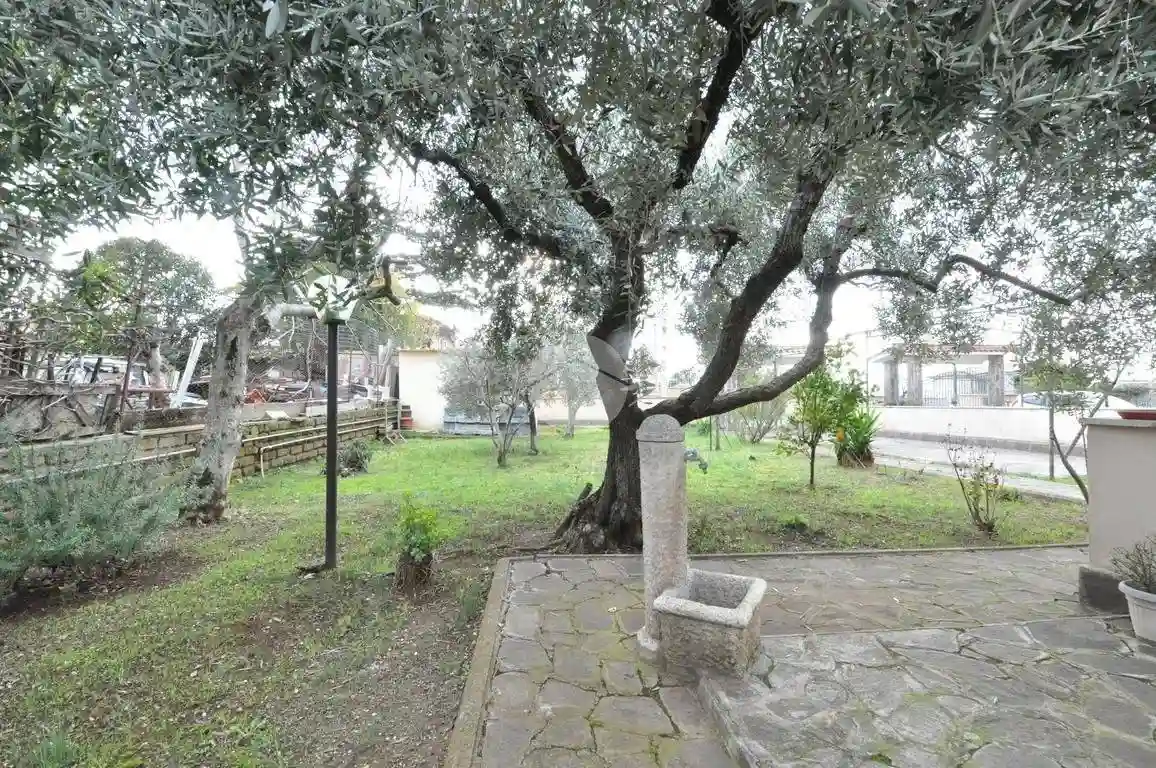 Palazzo - Edificio - foto 5