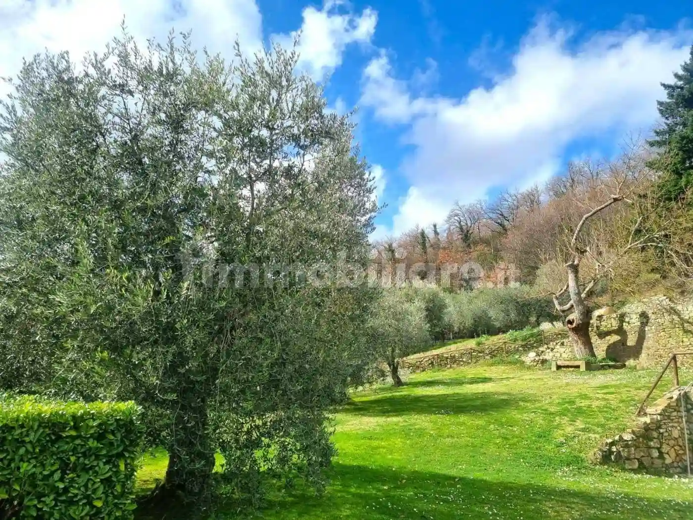 Rustico - Casale - foto 3