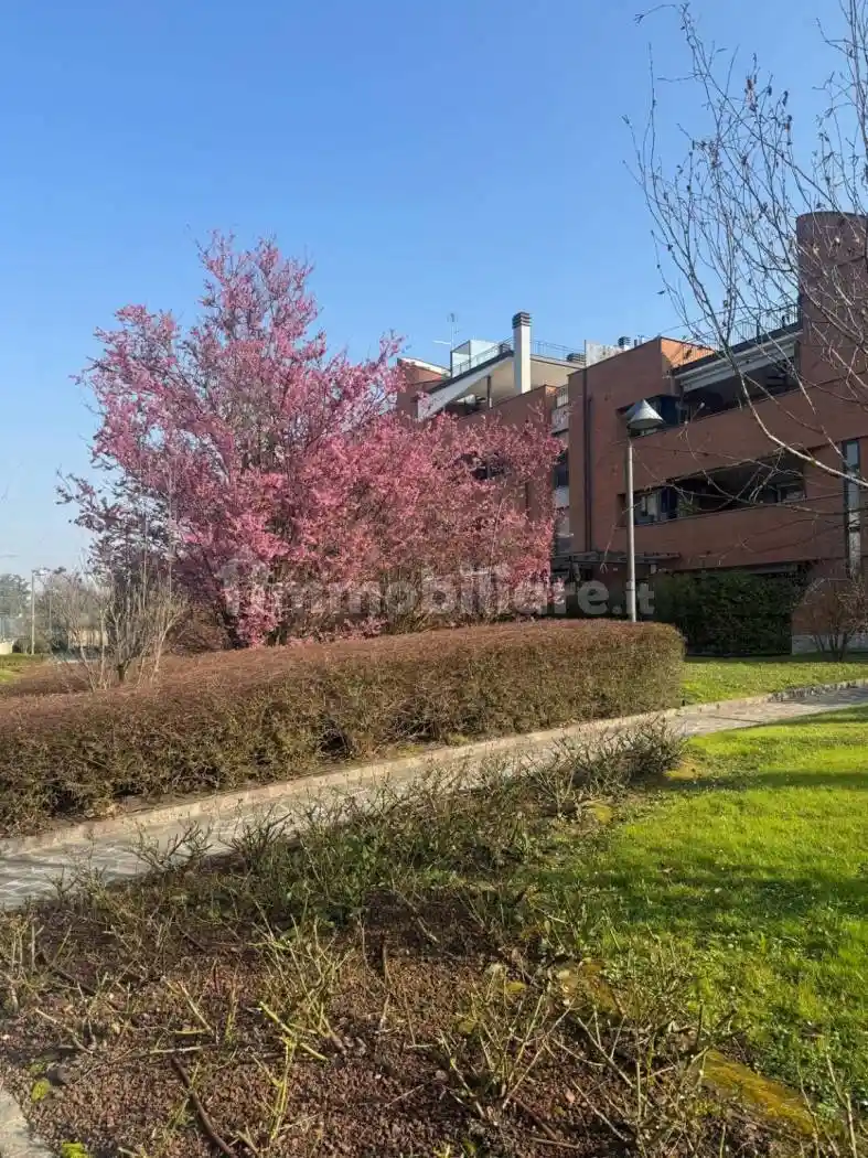 Appartamento in vendita a Peschiera Borromeo