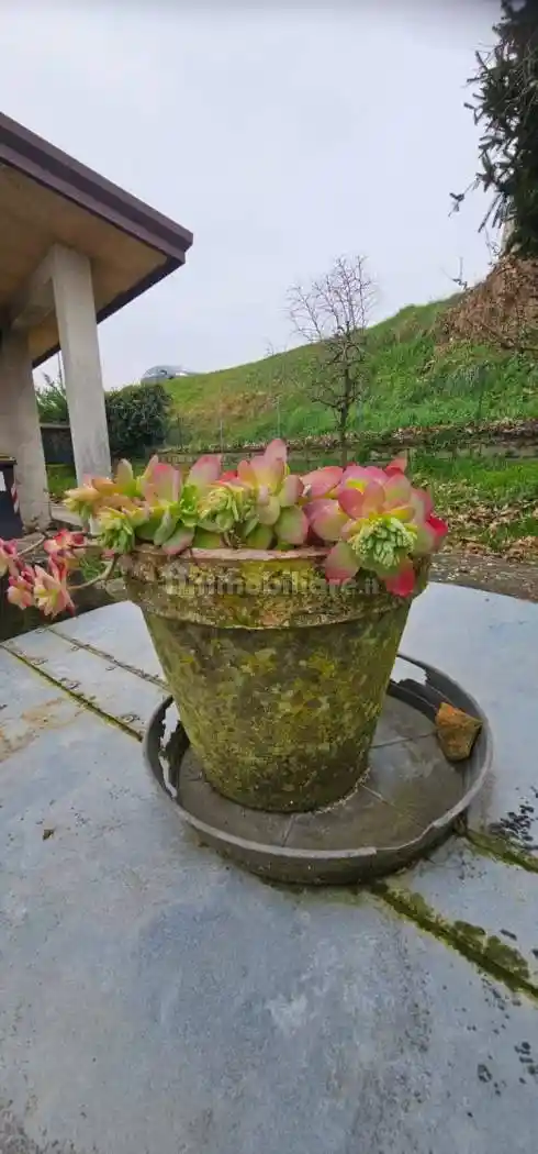 Villa in vendita a Camponogara