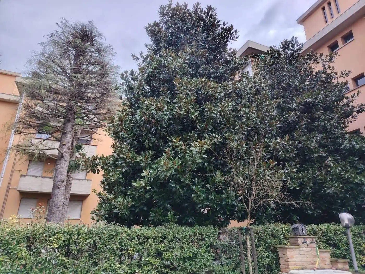 Appartamento in vendita a Dozza