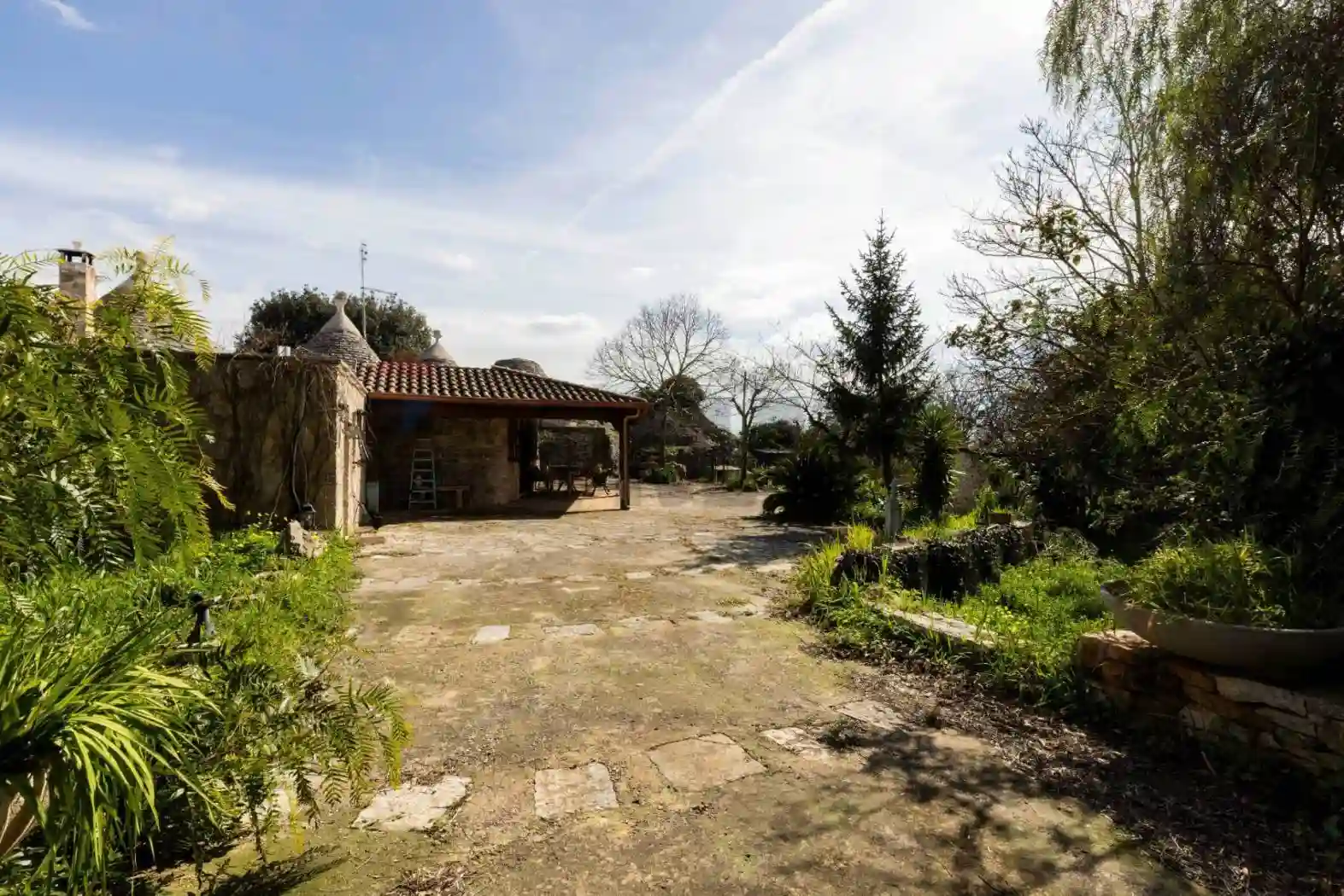 Rustico - Casale - foto 4