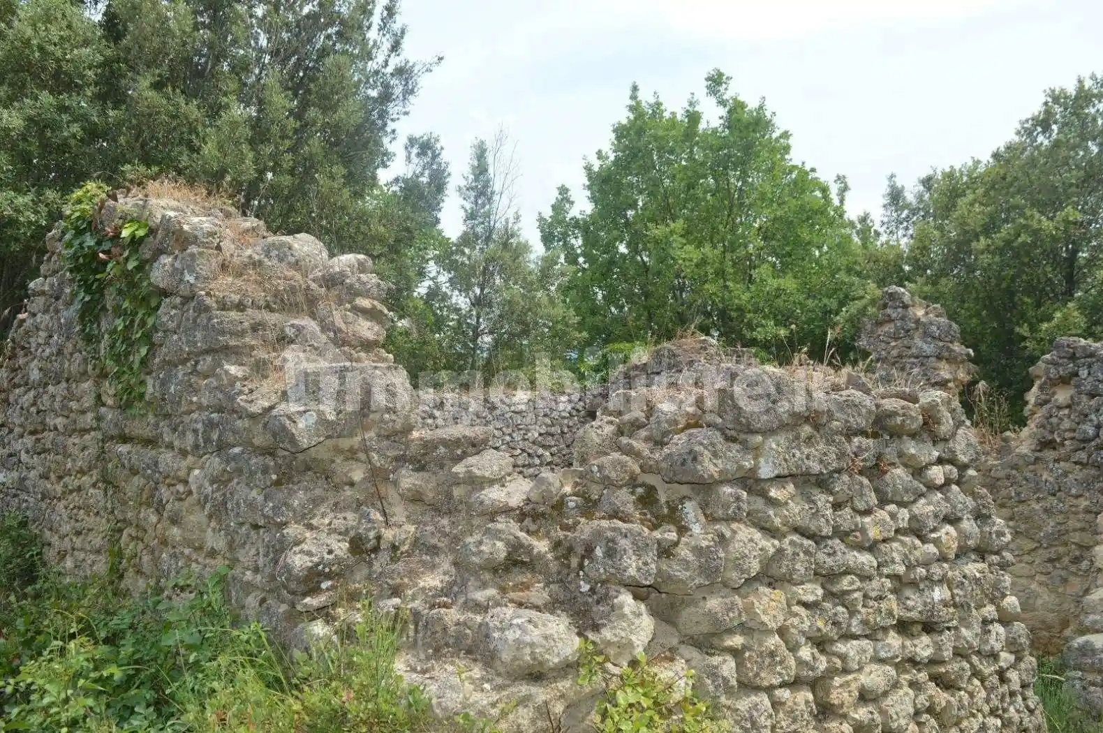 Rustico - Casale in vendita a Pomarance