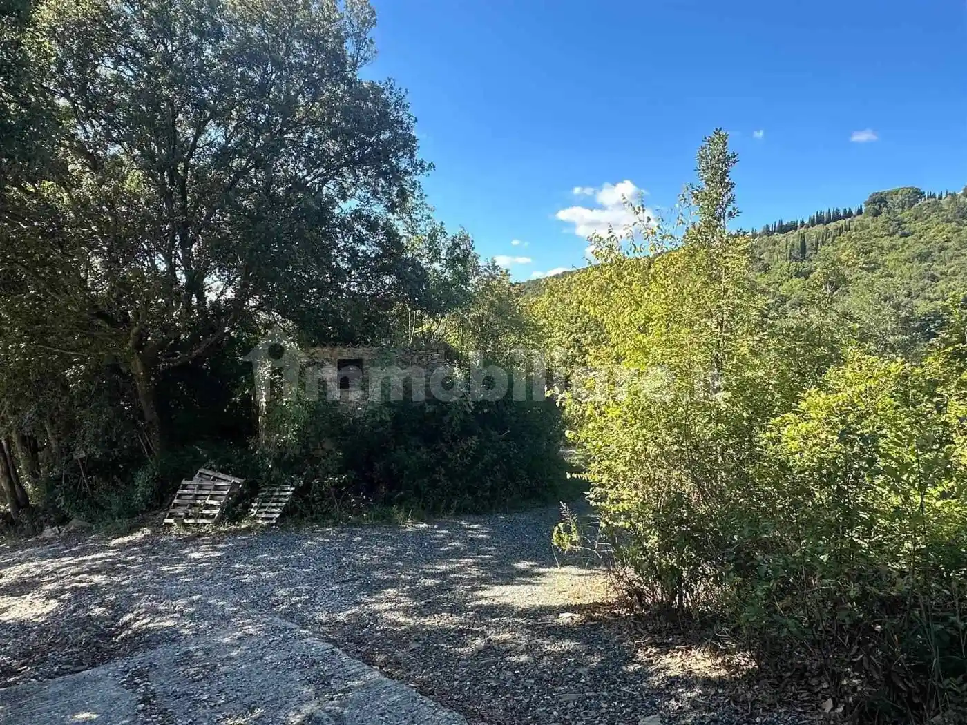 Rustico - Casale in vendita a Monteverdi Marittimo