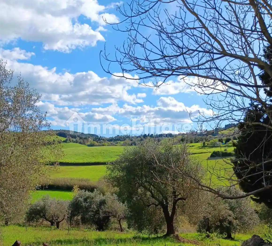 Rustico - Casale in vendita a Rosignano Marittimo