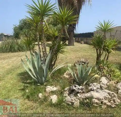 Villa in vendita a Avola