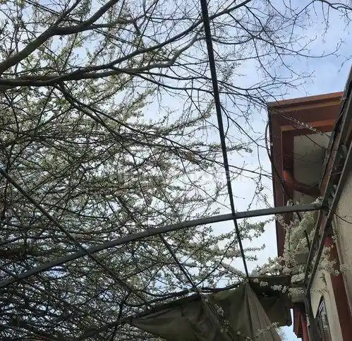 Villa in vendita a Venezia