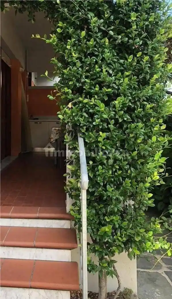 Appartamento in vendita a Carrara