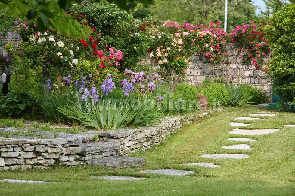 Villa in vendita a Noventa Padovana