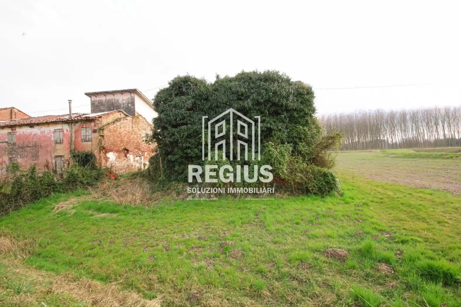 Rustico - Casale in vendita a Trebaseleghe