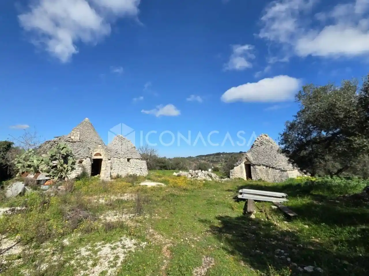Rustico - Casale in vendita a Cisternino