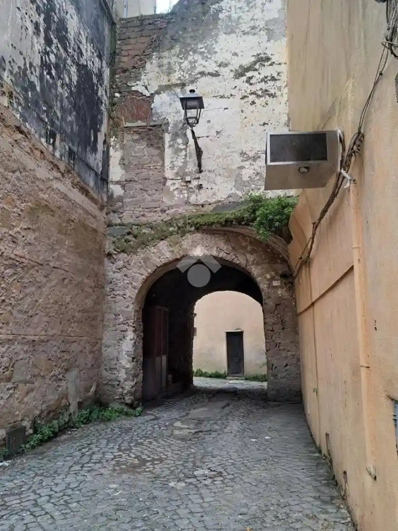 Rustico - Casale in vendita a Albano Laziale