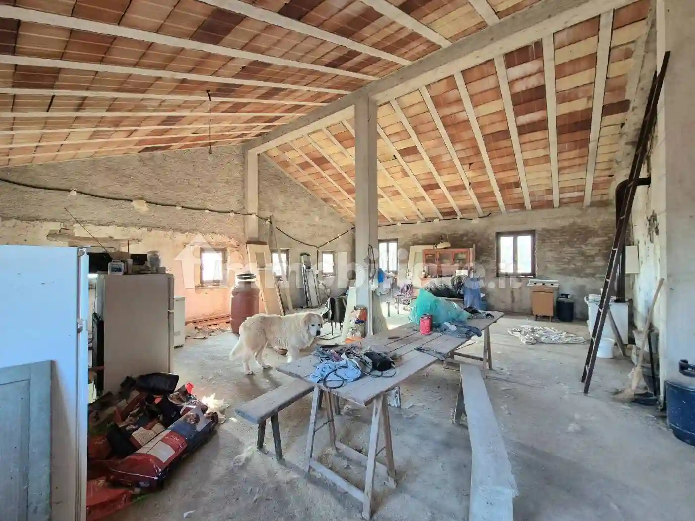 Rustico - Casale - foto 5