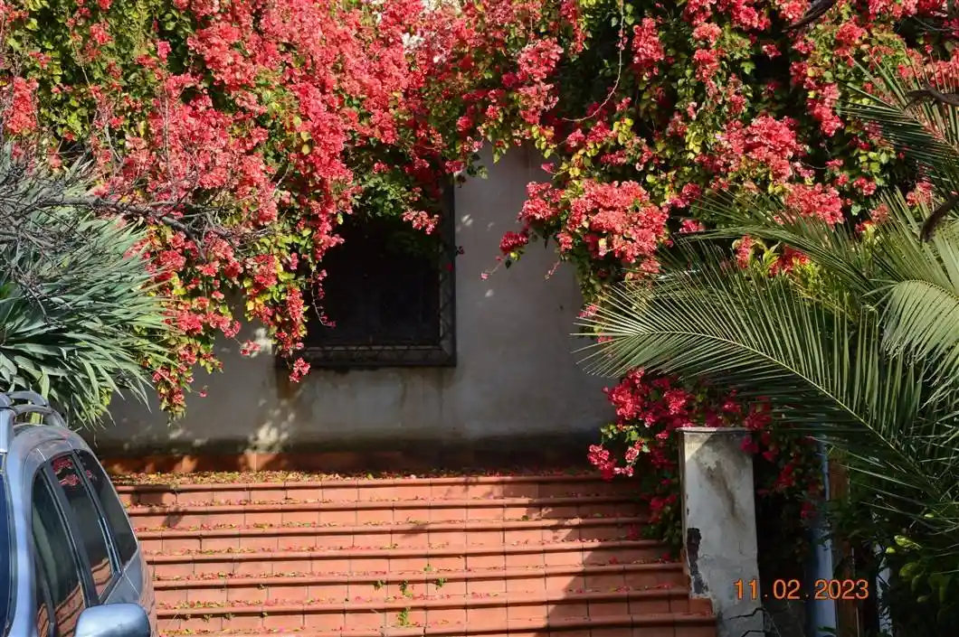 Villa in vendita a Catania