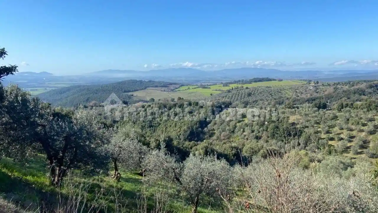 Rustico - Casale in vendita a Roccastrada