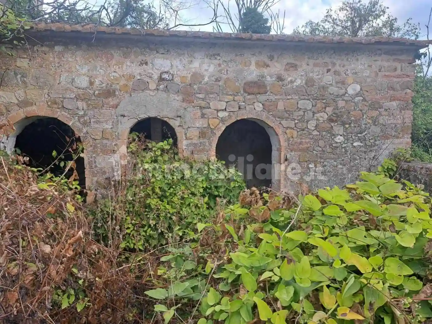 Rustico - Casale - foto 5