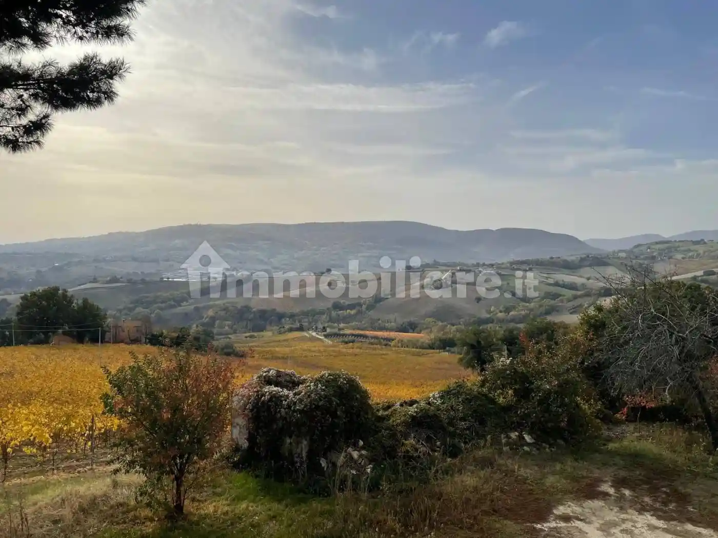 Villa in vendita a Staffolo