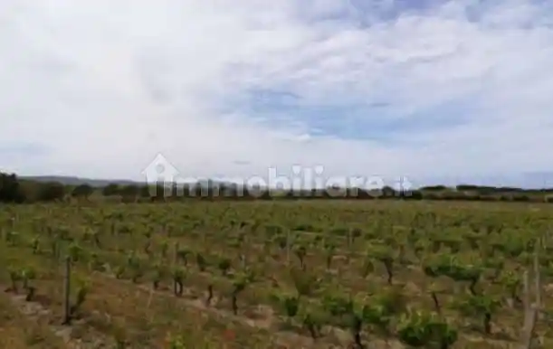 Appartamento in vendita a Viddalba