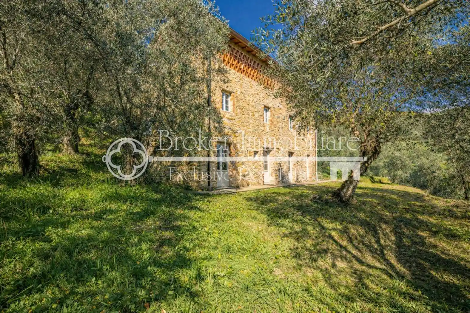 Rustico - Casale in vendita a Camaiore