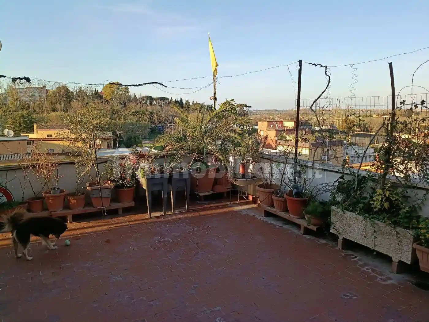 Attico - Mansarda in vendita a Roma