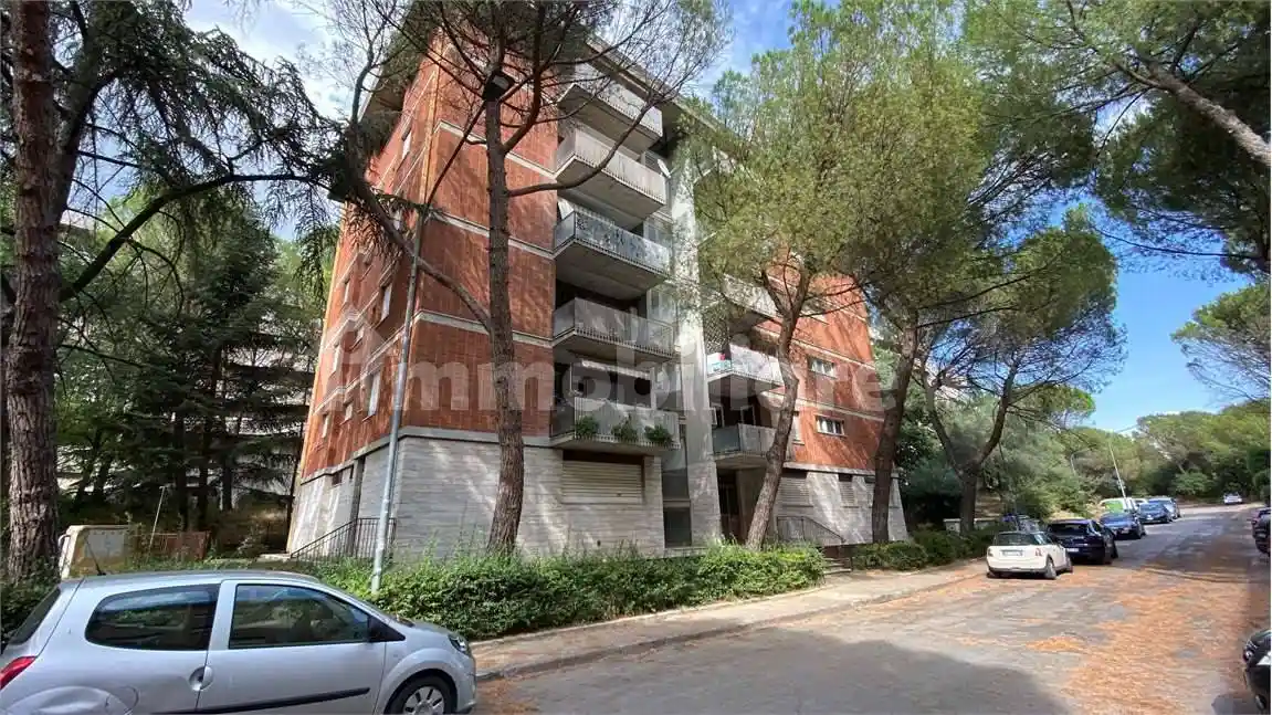 Appartamento in affitto a Perugia