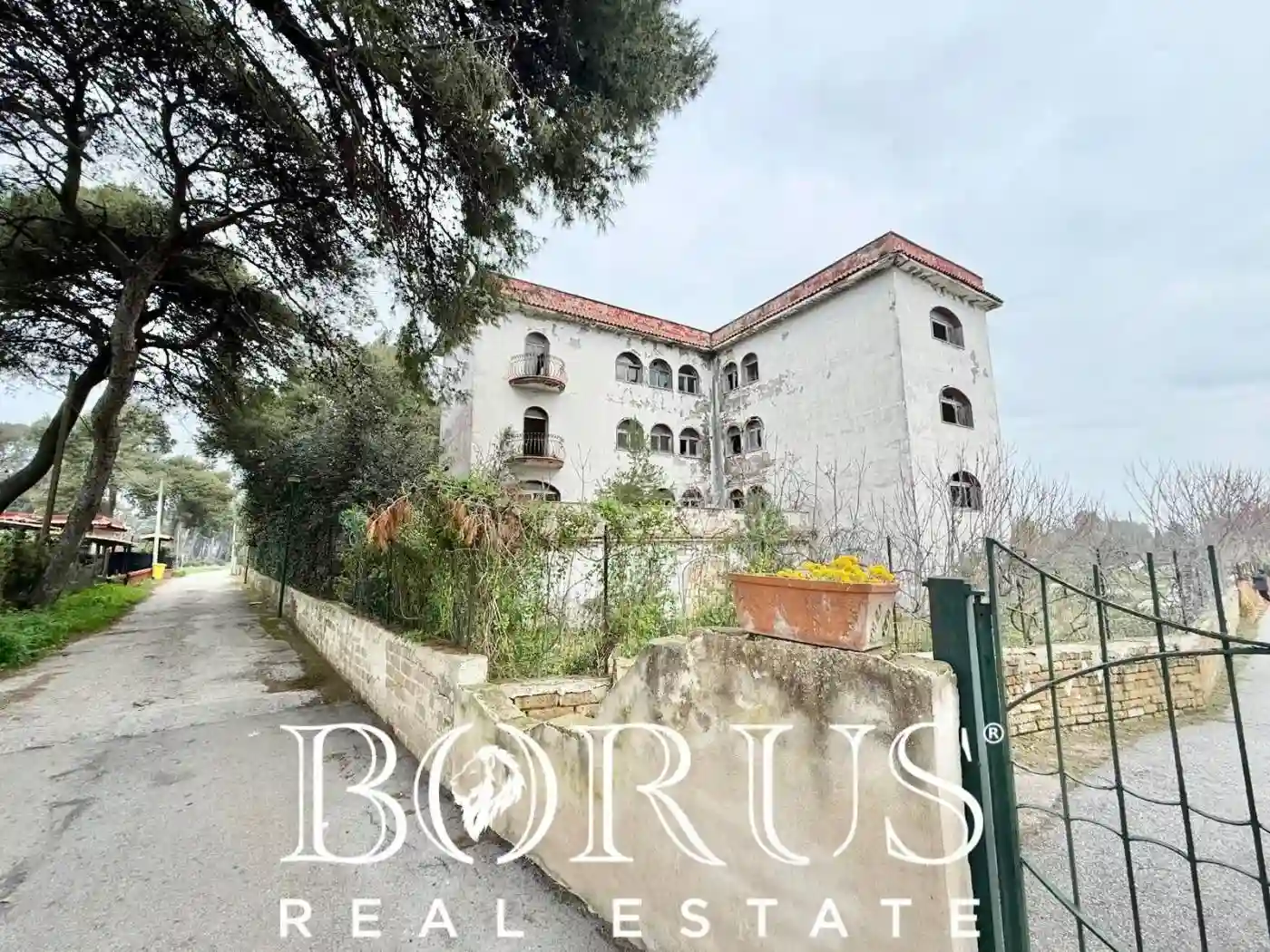 Palazzo - Edificio - foto 4