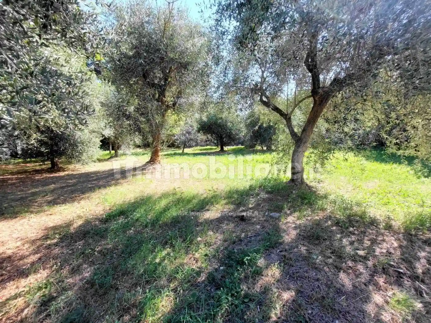 Palazzo - Edificio - foto 3