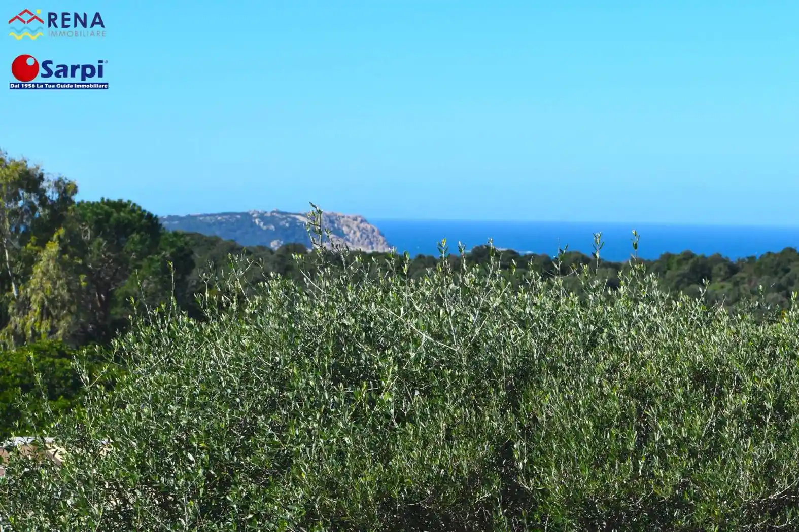 Villetta a schiera in vendita a Aglientu