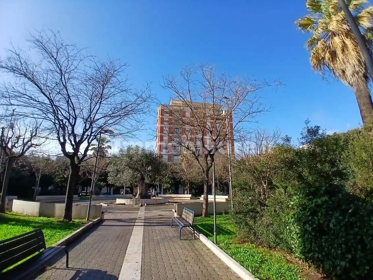 Appartamento in affitto a Noicattaro