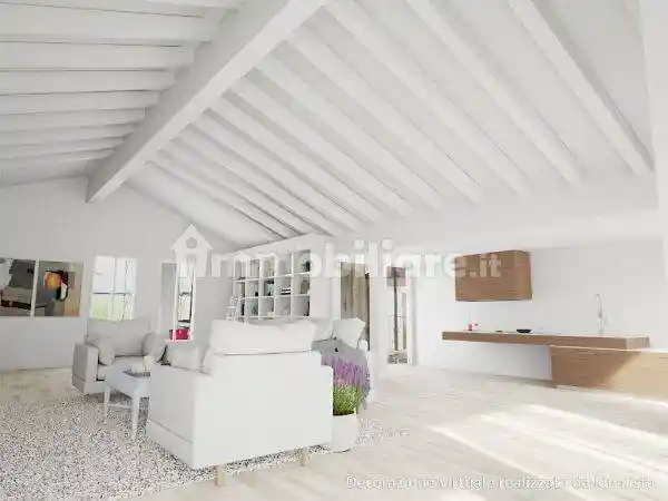 Villa in vendita a Trebaseleghe