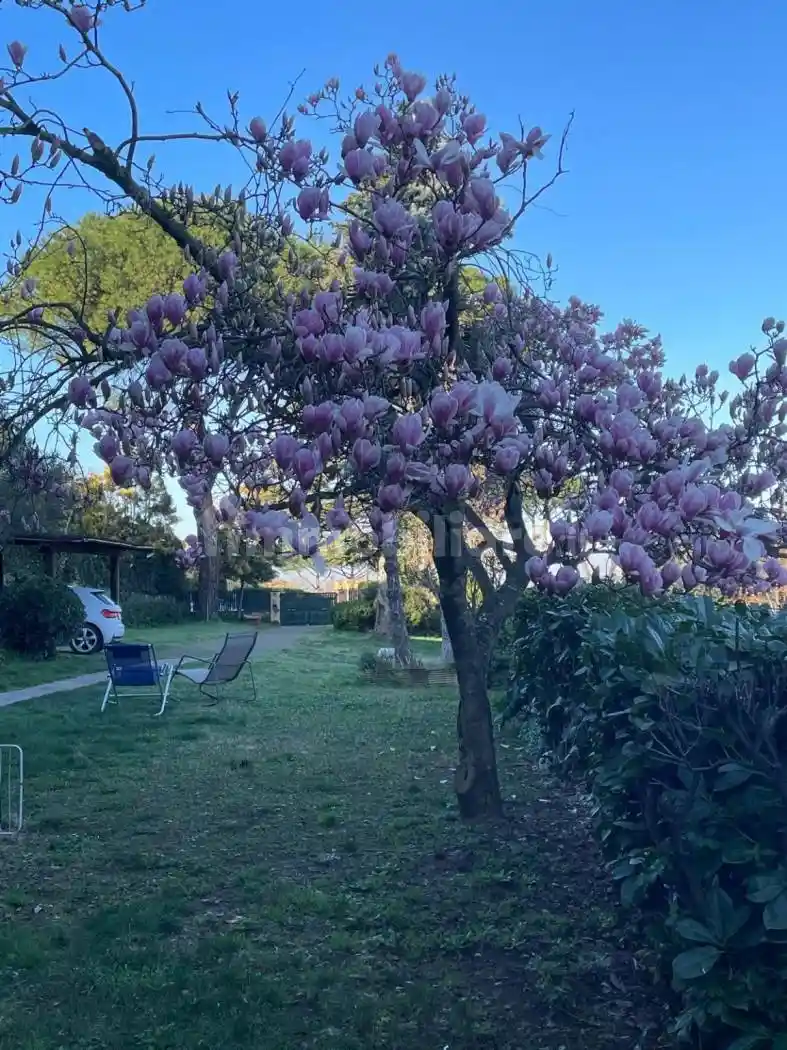 Villa in vendita a Frascati