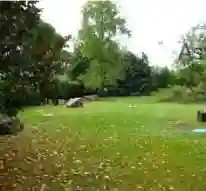 Palazzo - Stabile - foto 3