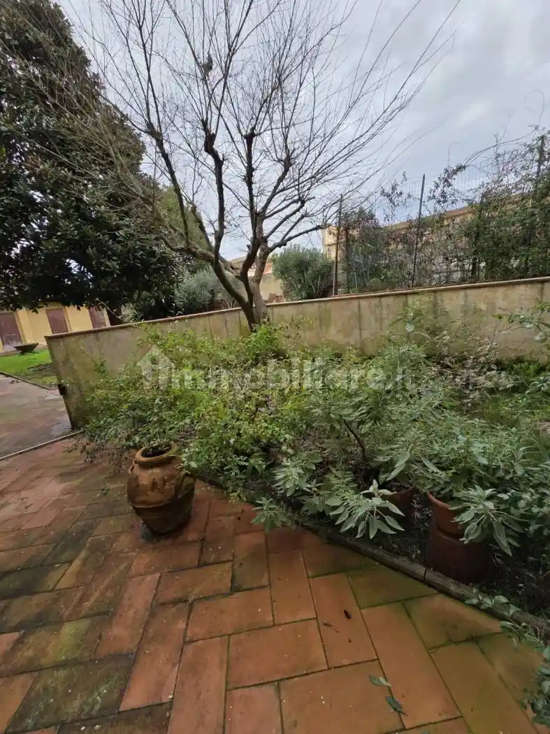 Appartamento in affitto a Pisa