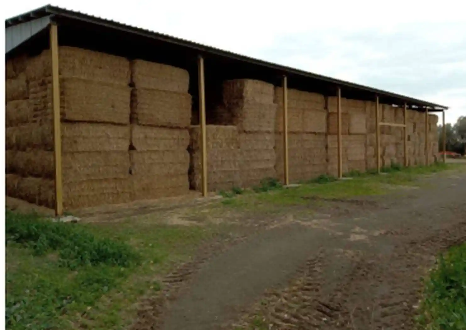 Appartamento in vendita a Viterbo