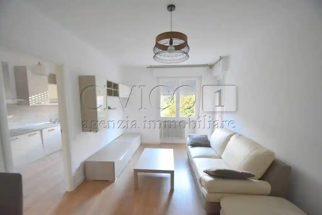 Appartamento in affitto a Longare