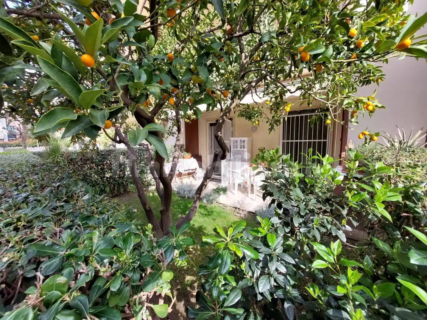 Appartamento in vendita a Albenga