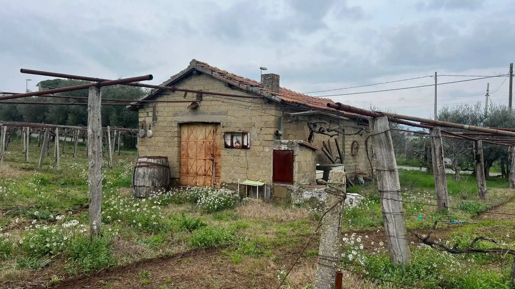 Rustico - Casale in vendita a Zagarolo