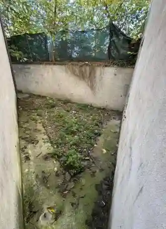 Palazzo - Stabile - foto 2