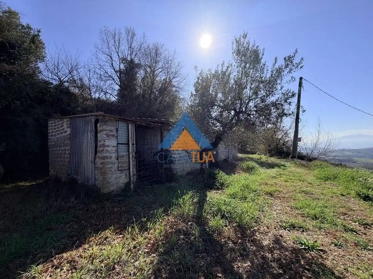 Rustico - Casale in vendita a Alviano