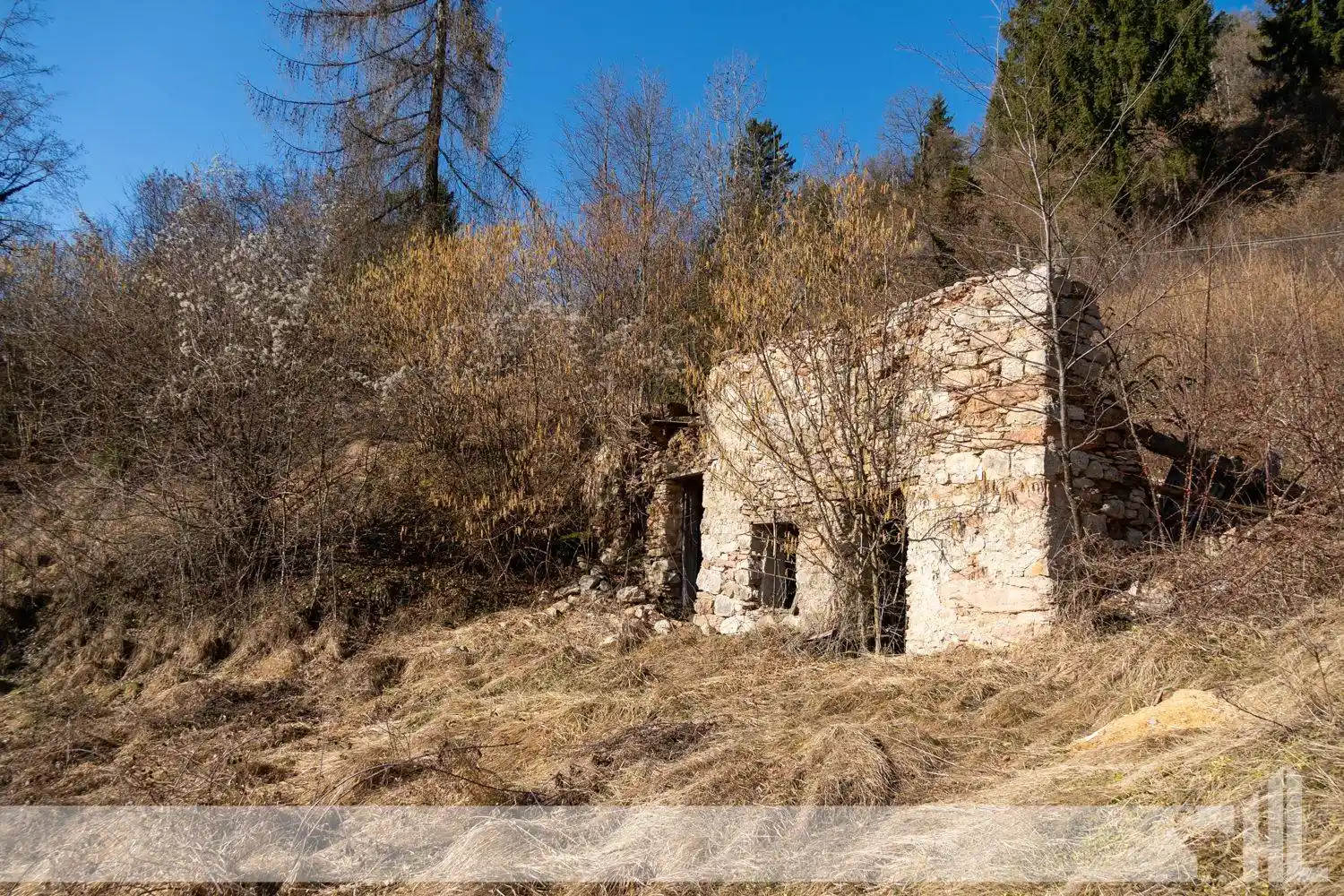 Rustico - Casale in vendita a Sovramonte