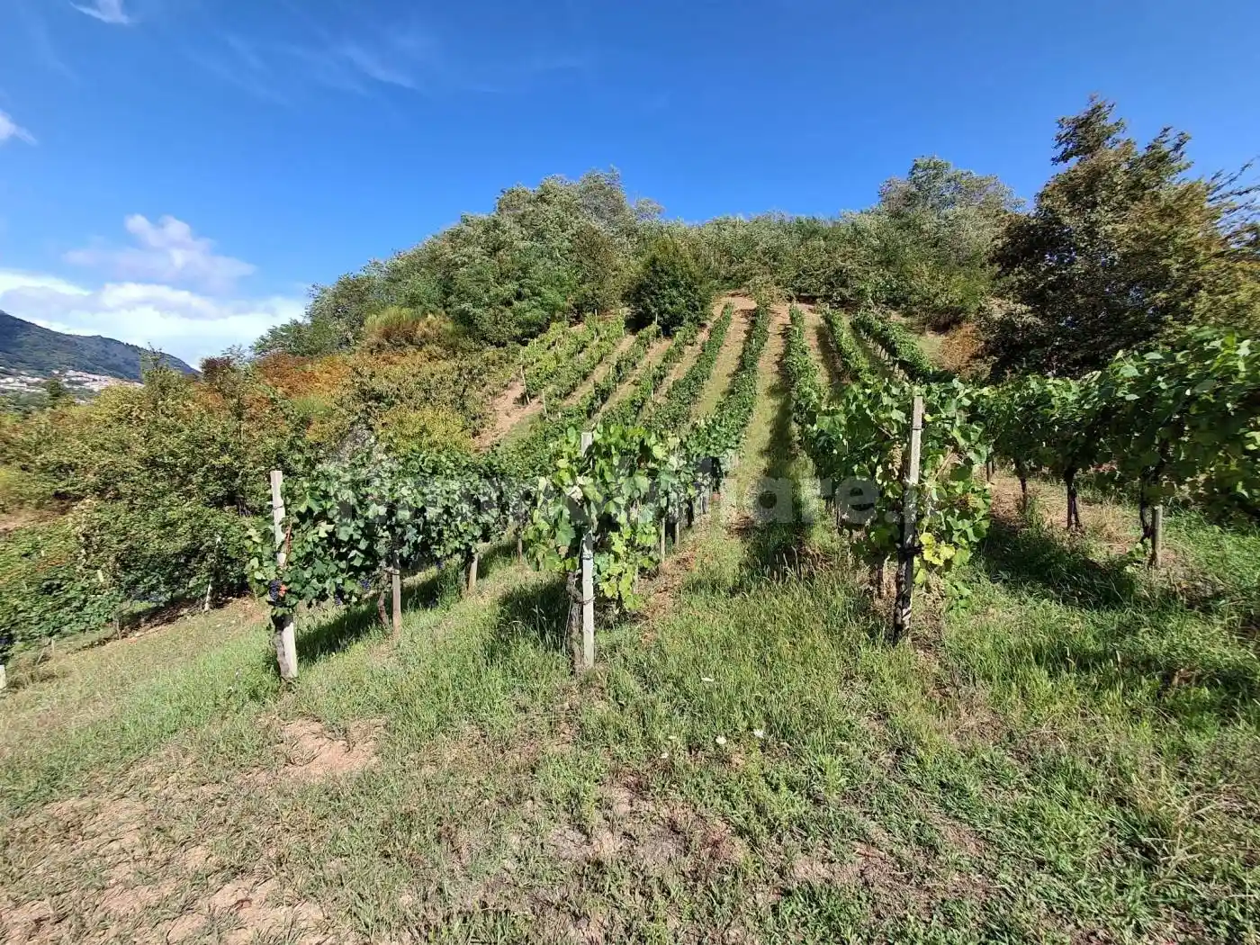 Villa in vendita a Montano Antilia