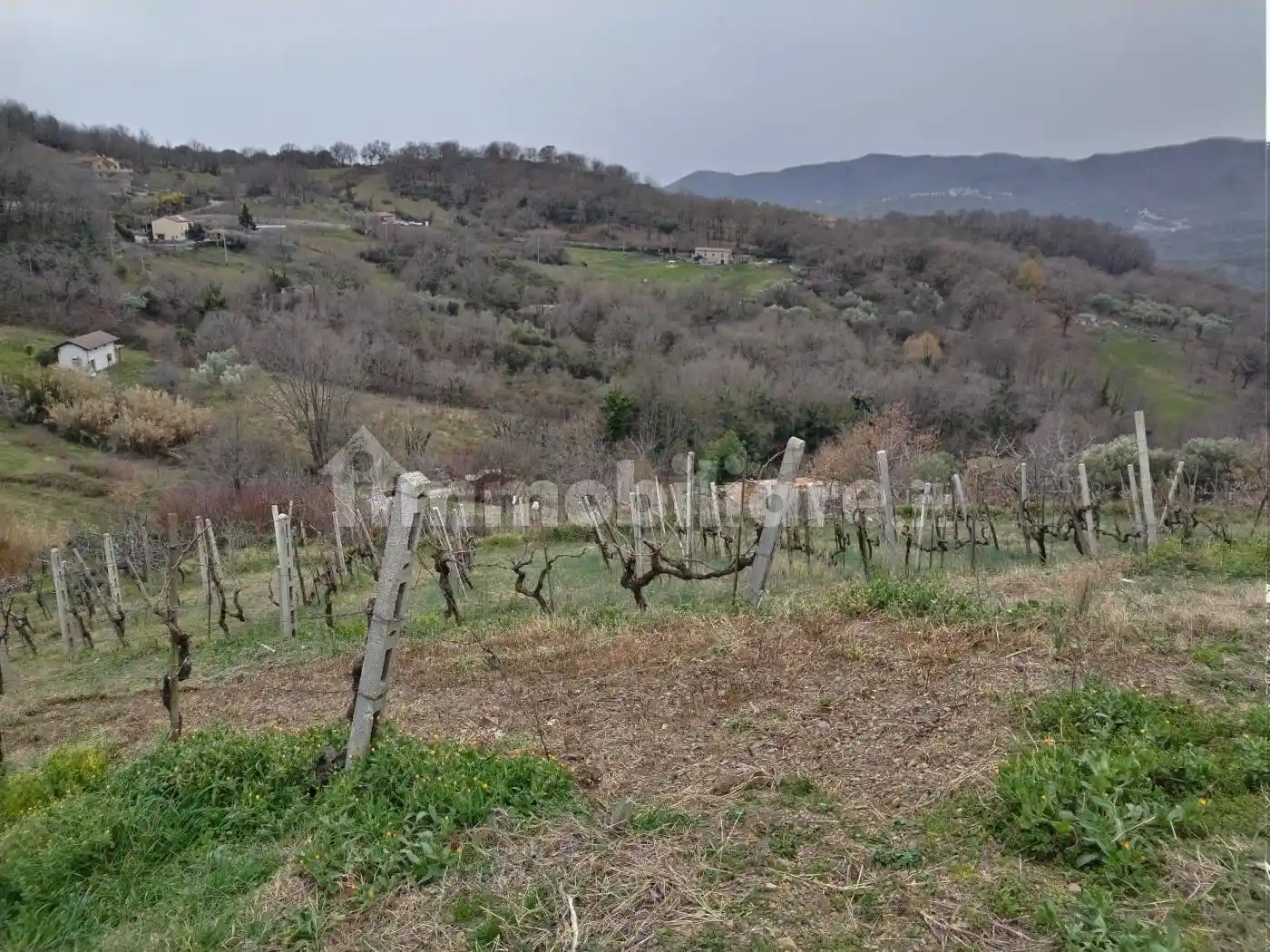 Villa in vendita a Montano Antilia