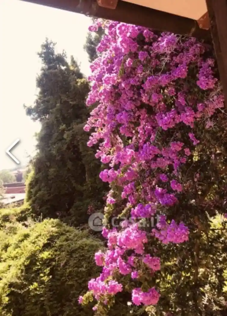 Appartamento in vendita a Pietrasanta