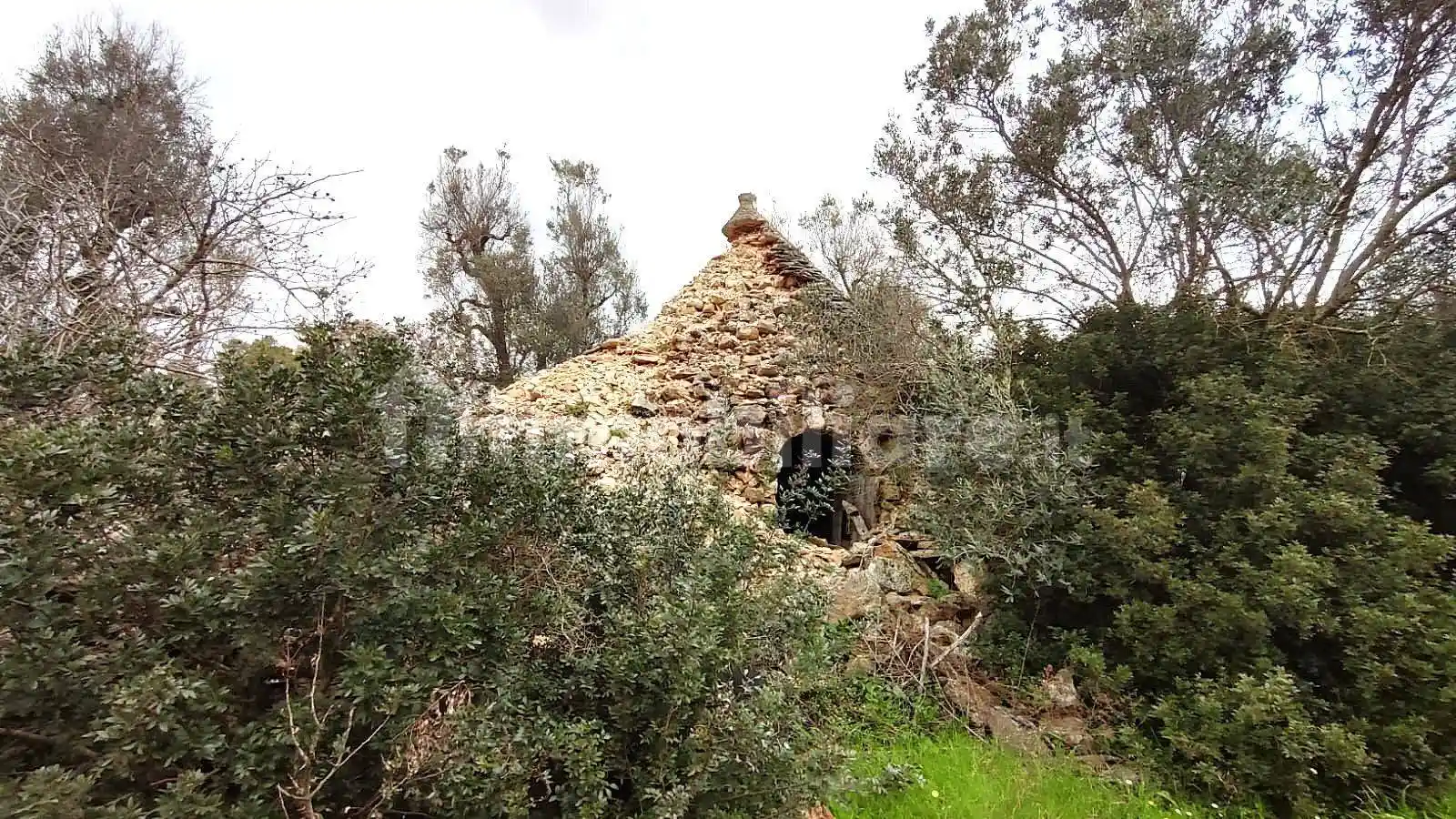 Rustico - Casale in vendita a Ceglie Messapica