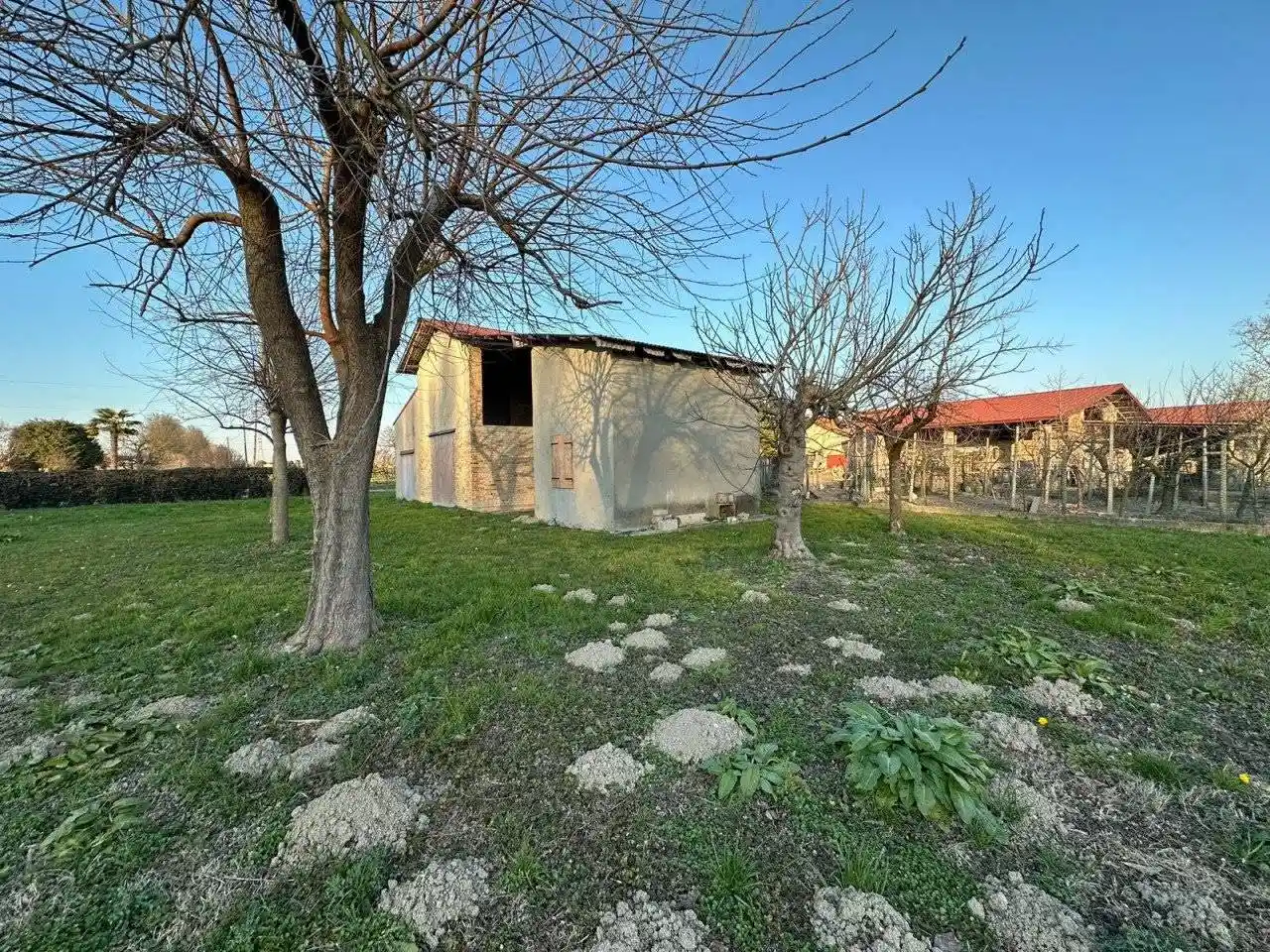 Casa indipendente in vendita a Mira