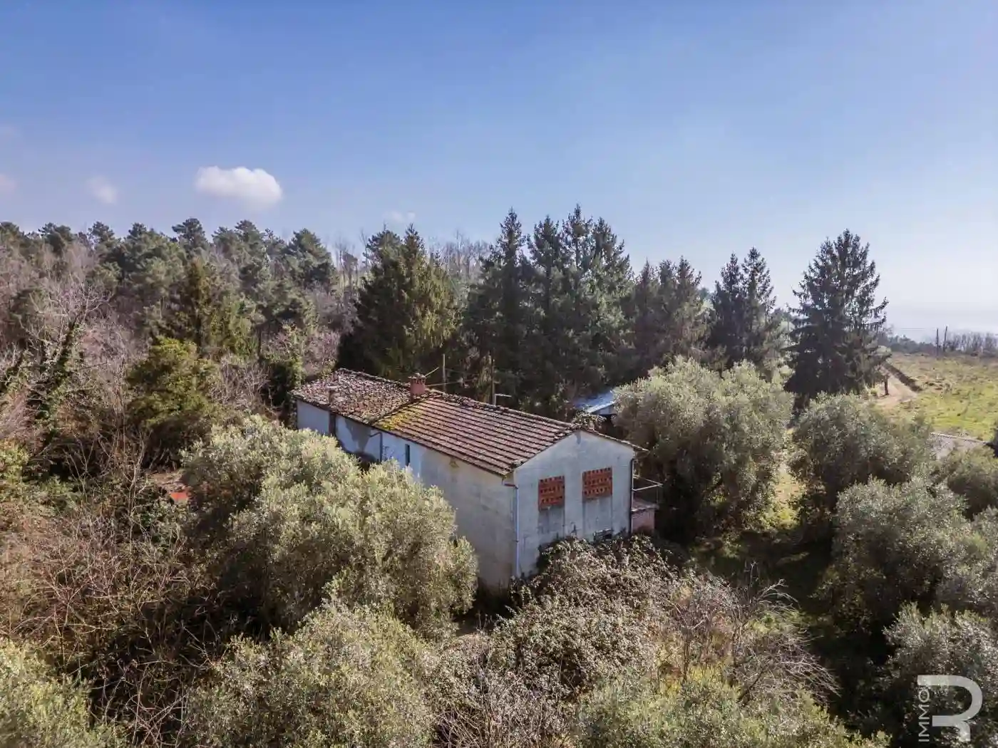 Rustico - Casale - foto 5