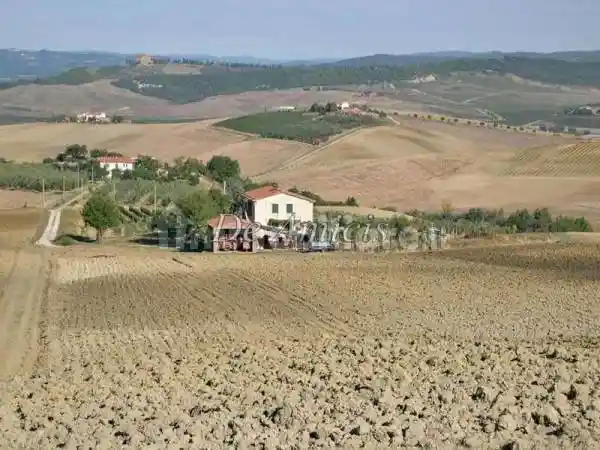 Rustico - Casale in vendita a Cinigiano