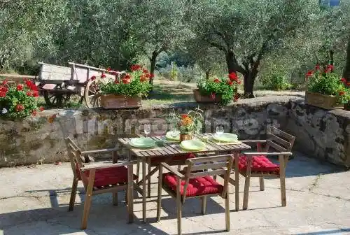 Rustico - Casale in affitto a San Casciano in Val di Pesa