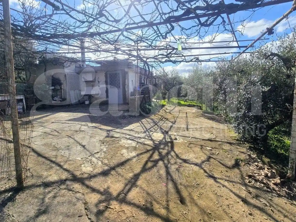 Rustico - Casale in vendita a Artena